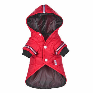 Top Seller! Sporty Dog Jacket With Hoodie