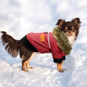 Bomber Dog Jacket With Faux Fur Collar