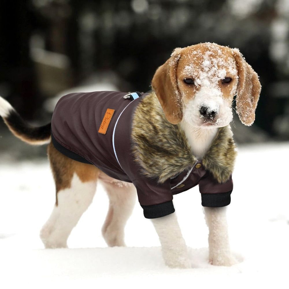 Bomber Dog Jacket With Faux Fur Collar